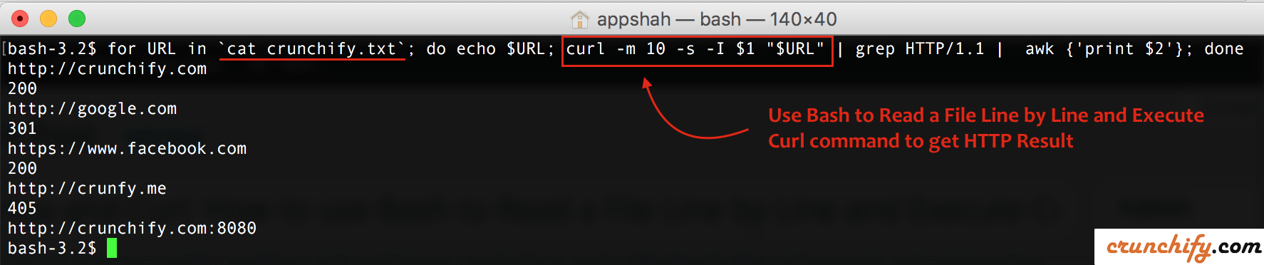 Bash Download File From Url Mac